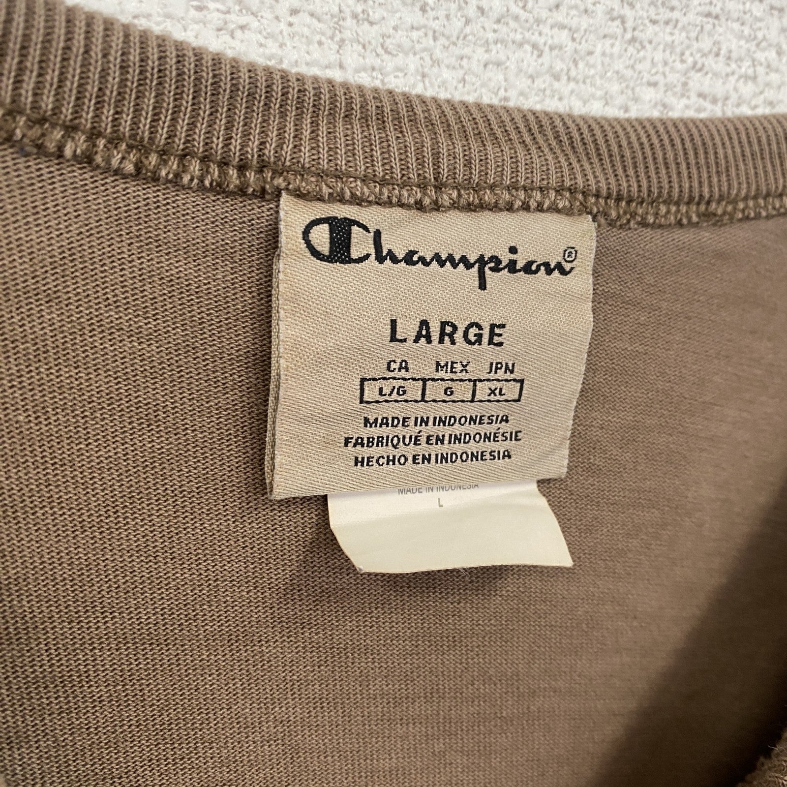 古着 used　champion　チャンピオン　半袖ロゴプリントTシャツ　クルーネック　V字ガゼット　ブラウン　Lサイズ