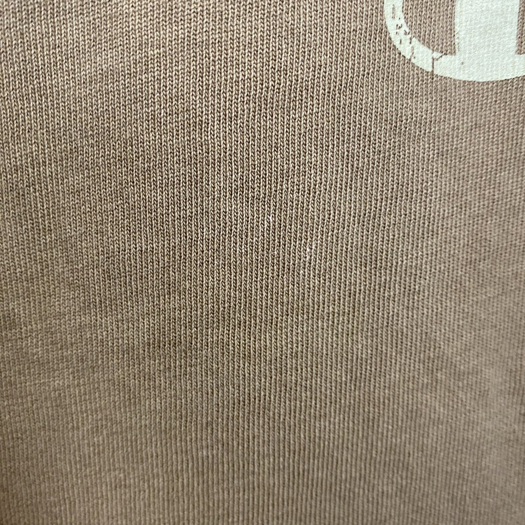 古着 used　champion　チャンピオン　半袖ロゴプリントTシャツ　クルーネック　V字ガゼット　ブラウン　Lサイズ