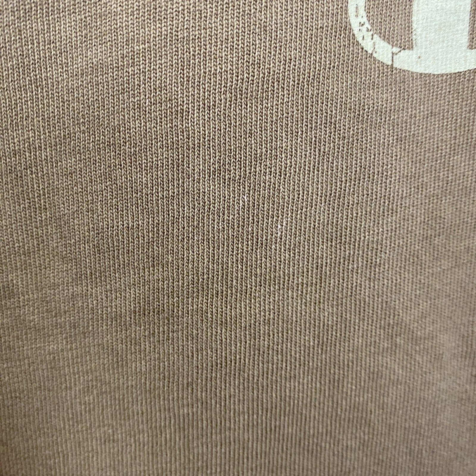 古着 used　champion　チャンピオン　半袖ロゴプリントTシャツ　クルーネック　V字ガゼット　ブラウン　Lサイズ