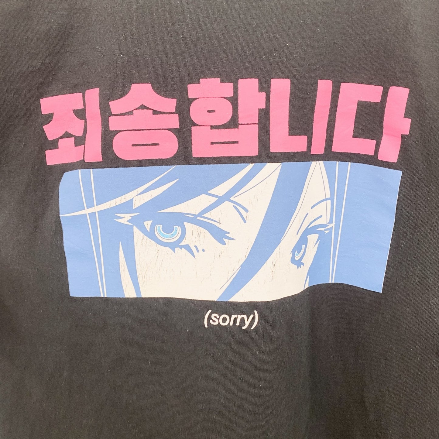 古着 used　VITRIOL　半袖キャラクタープリントTシャツ　ハングル　Sorry　クルーネック　黒　ブラック　Mサイズ
