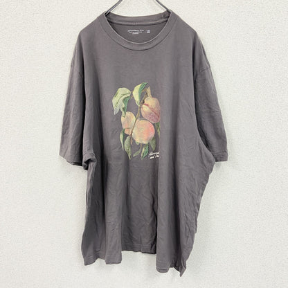 Abercrombie＆Fitch　アバクロンビー＆フィッチ　半袖プリントTシャツ　茶色　ブラウン　XXLサイズ