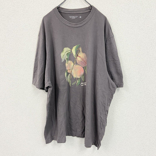 Abercrombie＆Fitch　アバクロンビー＆フィッチ　半袖プリントTシャツ　茶色　ブラウン　XXLサイズ