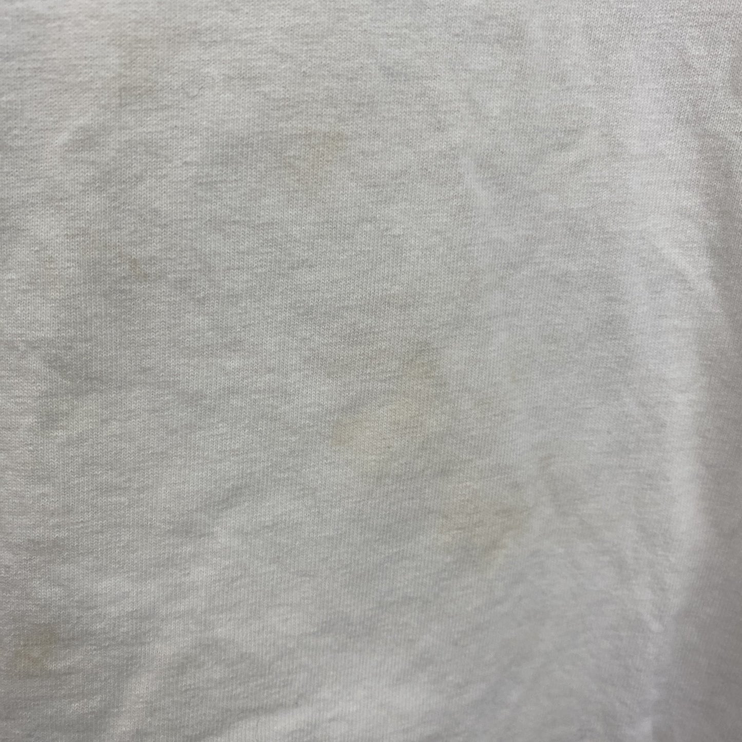 古着 used　champion　チャンピオン　半袖バックプリントTシャツ　ストーンハーバー　Villa Maria　白　Lサイズ