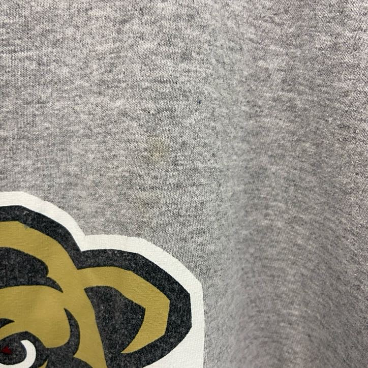 古着 used　champion　チャンピオン　半袖カレッジプリントTシャツ　ゴールデンベアーズ　クッツタウン　3XLサイズ