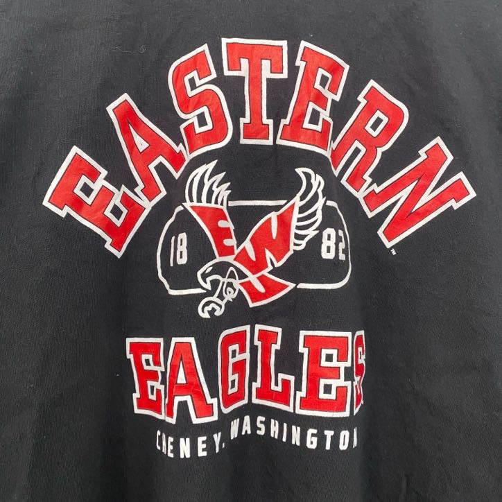 古着 used　champion　チャンピオン　長袖プリントTシャツ　デザインロンT　イースタンイーグルス　黒　Sサイズ