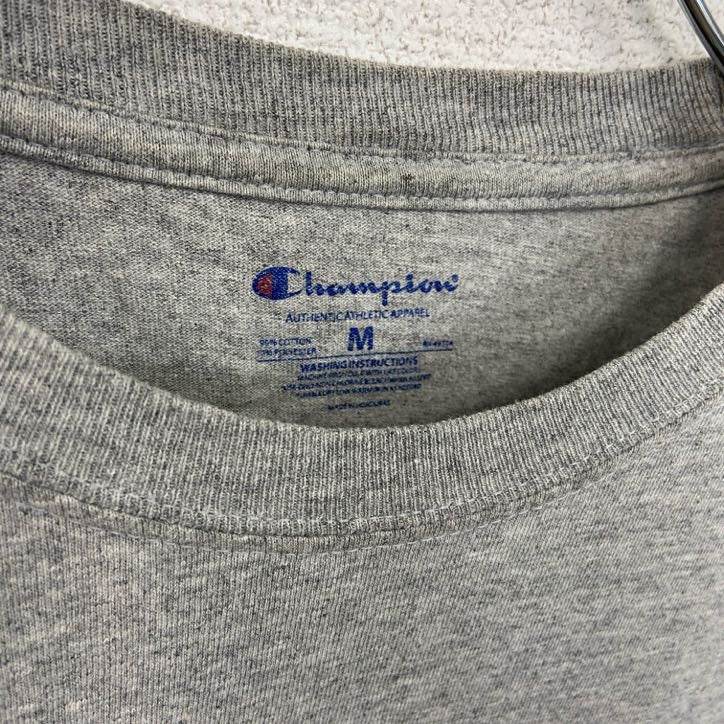 古着 used　champion　チャンピオン　半袖カレッジプリントTシャツ　オターバイン大学　エクストリアン　グレー　Mサイズ