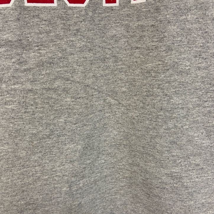 古着 used　champion　チャンピオン　半袖カレッジプリントTシャツ　オターバイン大学　エクストリアン　グレー　Mサイズ