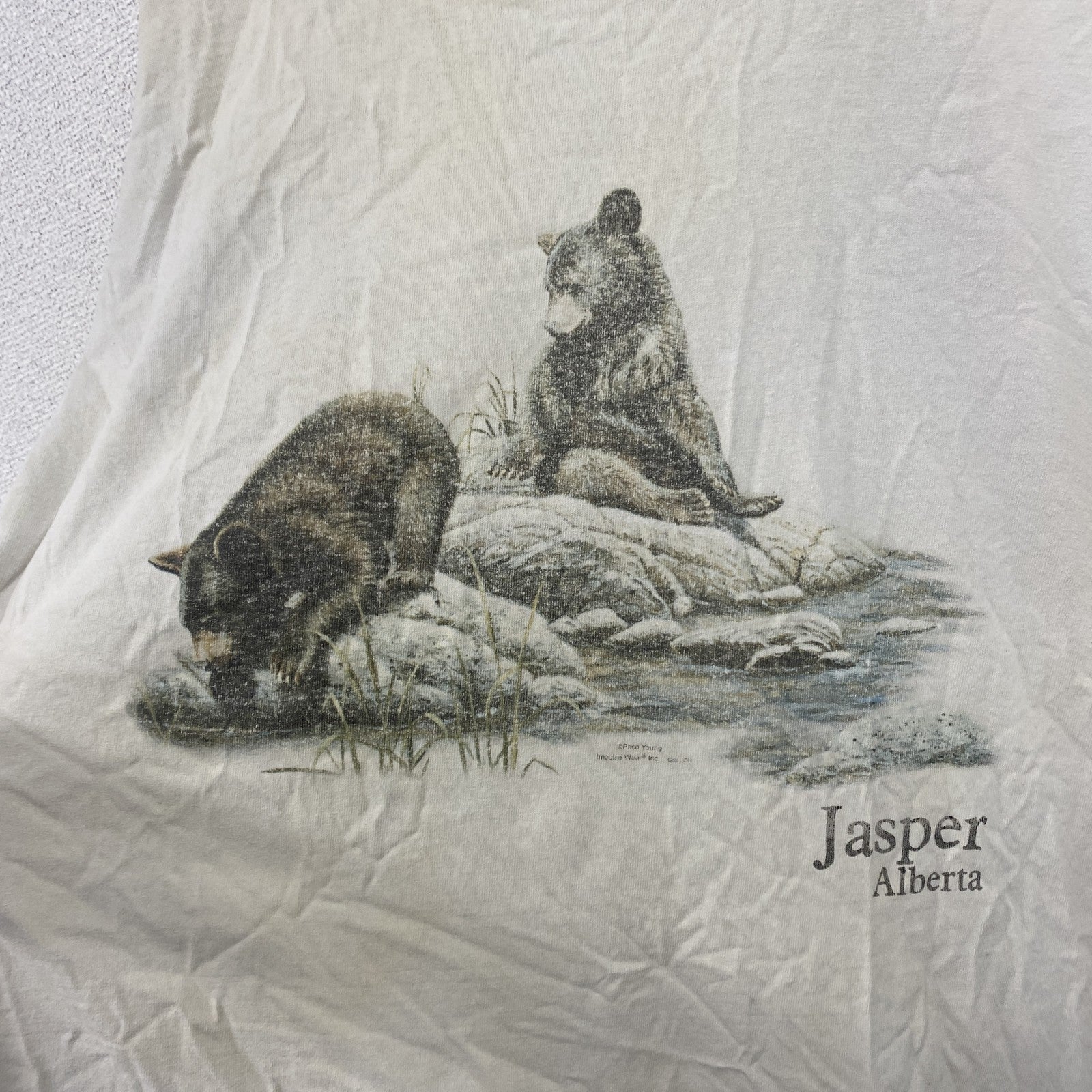 古着 used　90s　TULTEX　半袖アニマルプリントTシャツ　熊　Jasper Albrta　クルーネック　2XLサイズ