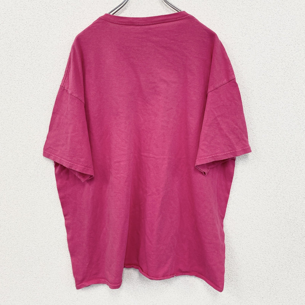 古着 used　DELTA デルタ　半袖プリントTシャツ　ナイアガラ滝　カジュアルデザイン　クルーネック　ピンク　2XLサイズ
