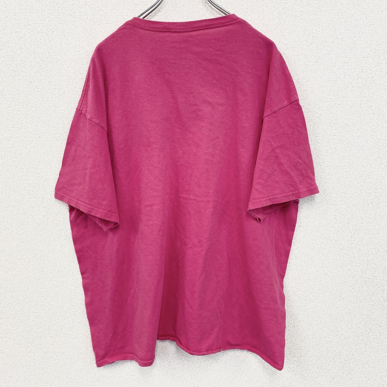 古着 used　DELTA デルタ　半袖プリントTシャツ　ナイアガラ滝　カジュアルデザイン　クルーネック　ピンク　2XLサイズ