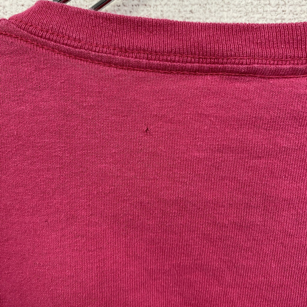 古着 used　DELTA デルタ　半袖プリントTシャツ　ナイアガラ滝　カジュアルデザイン　クルーネック　ピンク　2XLサイズ