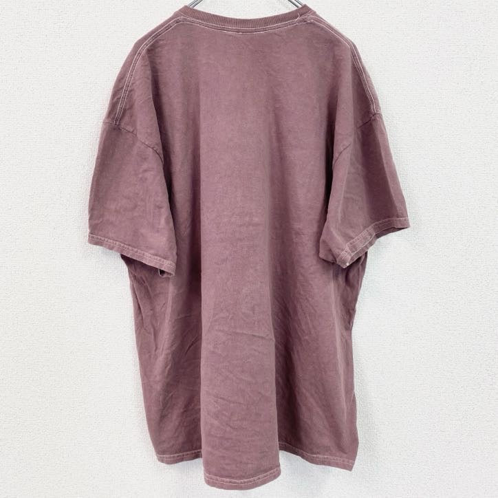 古着 used　desert dreamer　半袖プリントTシャツ　蝶　昆虫　クルーネック　レトロデザイン　赤　紅　レッド　