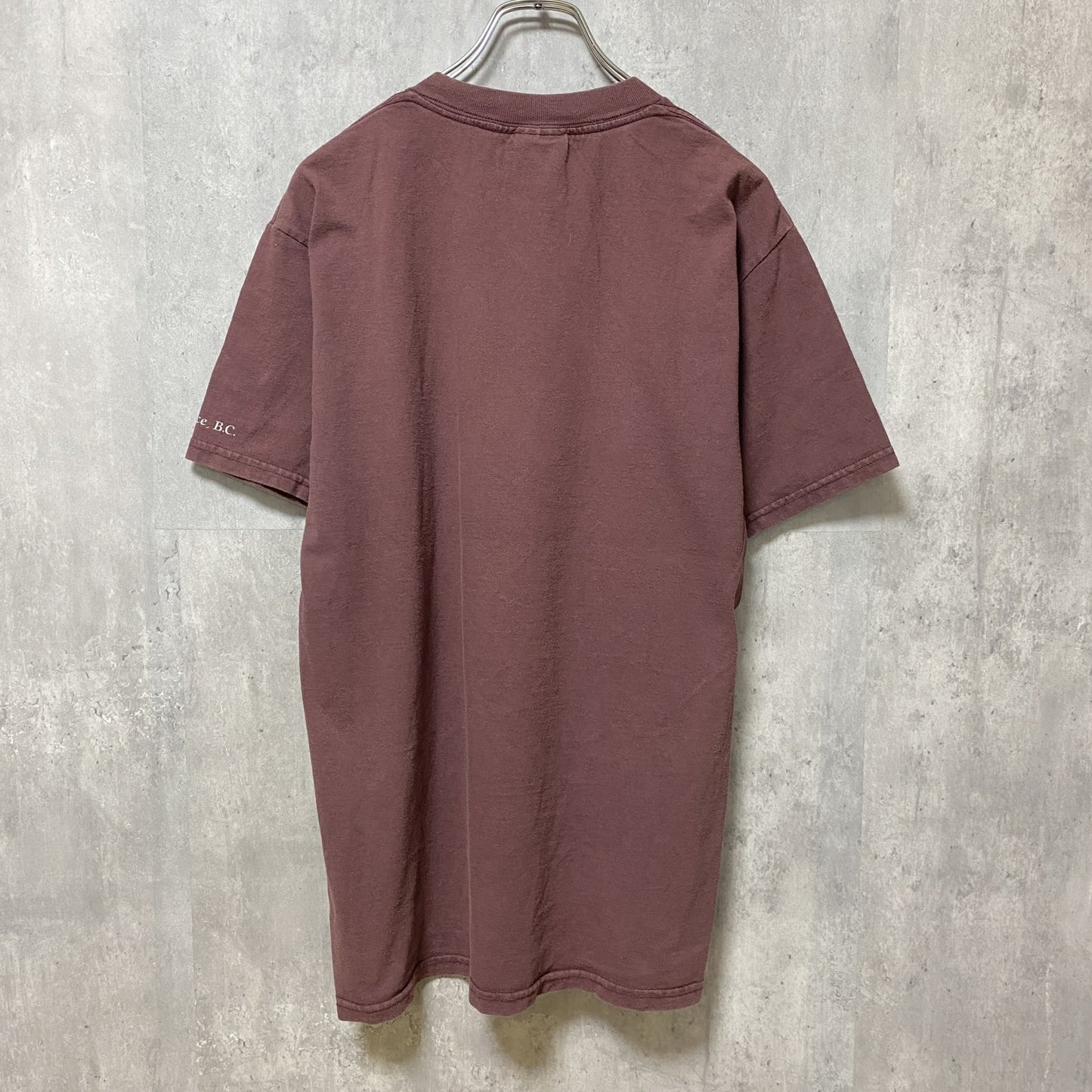 古着 used　TULTEX　タルテックス　半袖アニマル柄プリントTシャツ　ワインレッド　鷹　鳥　レトロ　クルーネック　Mサイズ