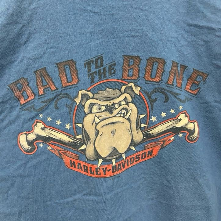 古着 used　HARLEY DAVIDSON　ハーレーダビッドソン　半袖両面プリントTシャツ　青　ブルー　3XL