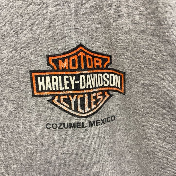 古着 used　HARLEY DAVIDSON　ハーレーダビッドソン　半袖両面プリントTシャツ　灰色　グレー　Lサイズ