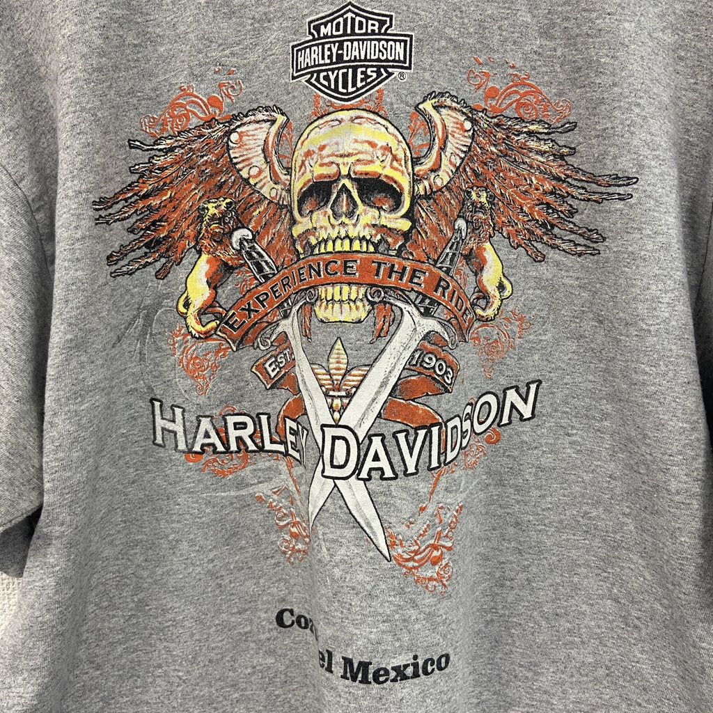 古着 used　HARLEY DAVIDSON　ハーレーダビッドソン　半袖両面プリントTシャツ　灰色　グレー　Lサイズ
