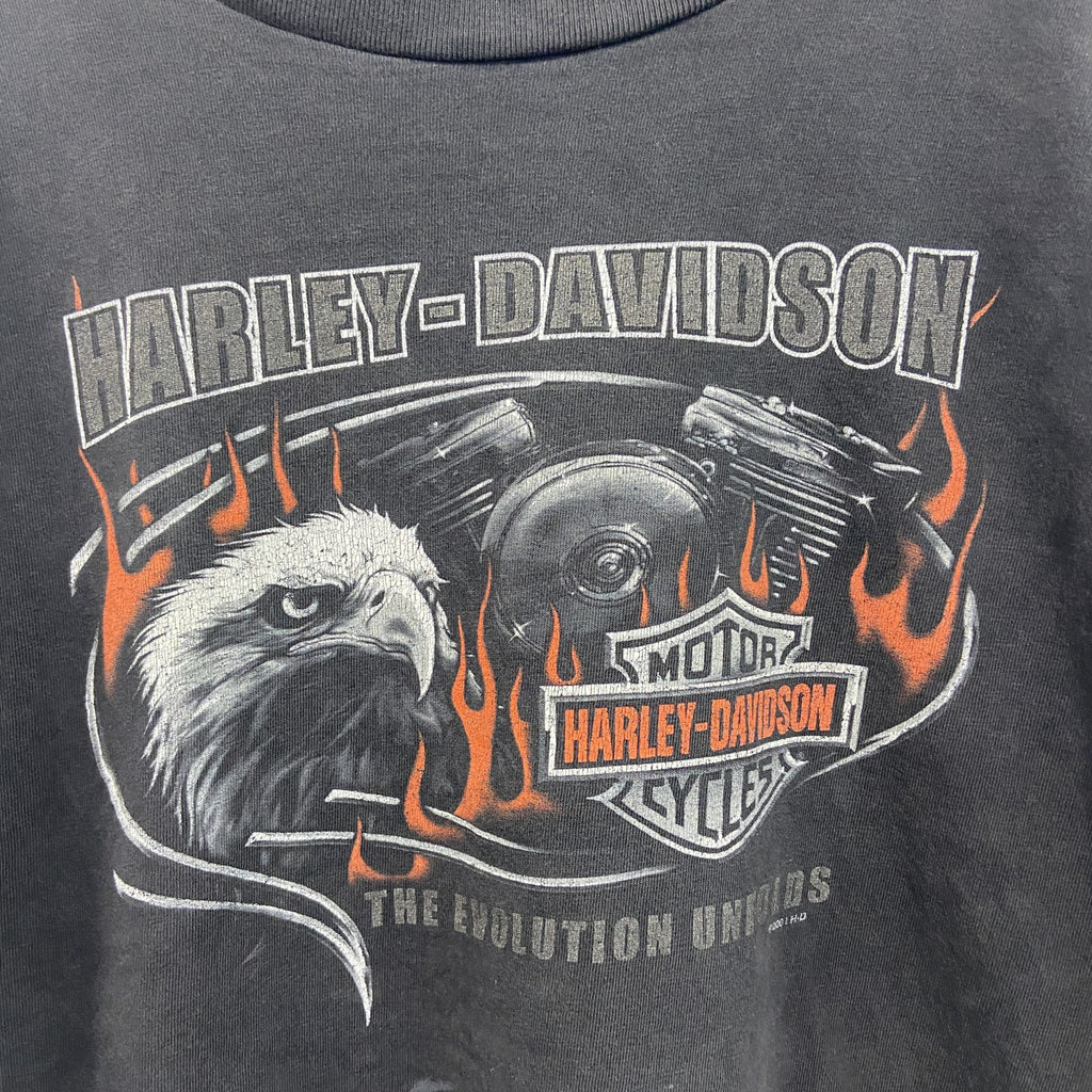 00s　HARLEY DAVIDSON　ハーレーダビッドソン　半袖両面プリントTシャツ　黒　ブラック　Lサイズ