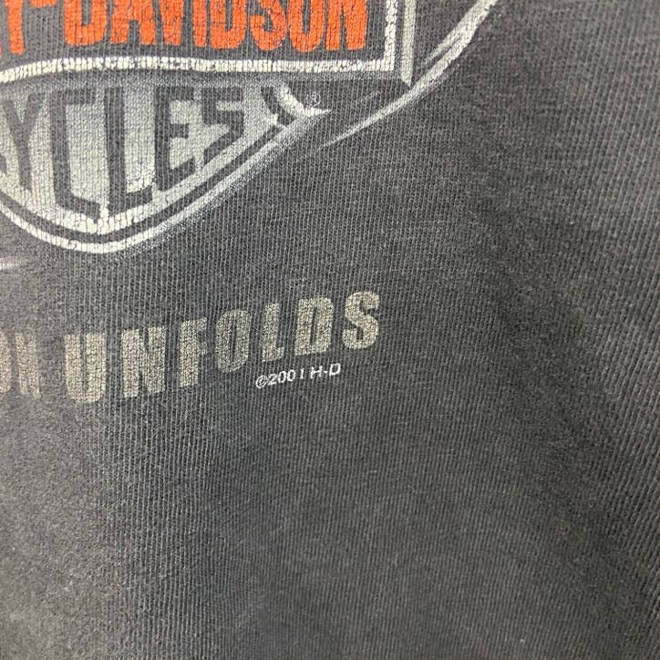 00s　HARLEY DAVIDSON　ハーレーダビッドソン　半袖両面プリントTシャツ　黒　ブラック　Lサイズ
