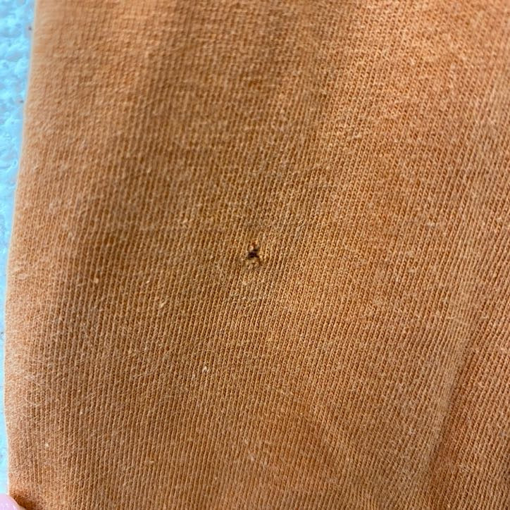 古着 used　NIKE　ナイキ　長袖カレッジプリントTシャツ　クルーネックロンT　テキサス大学　ライトブラウン　XLサイズ
