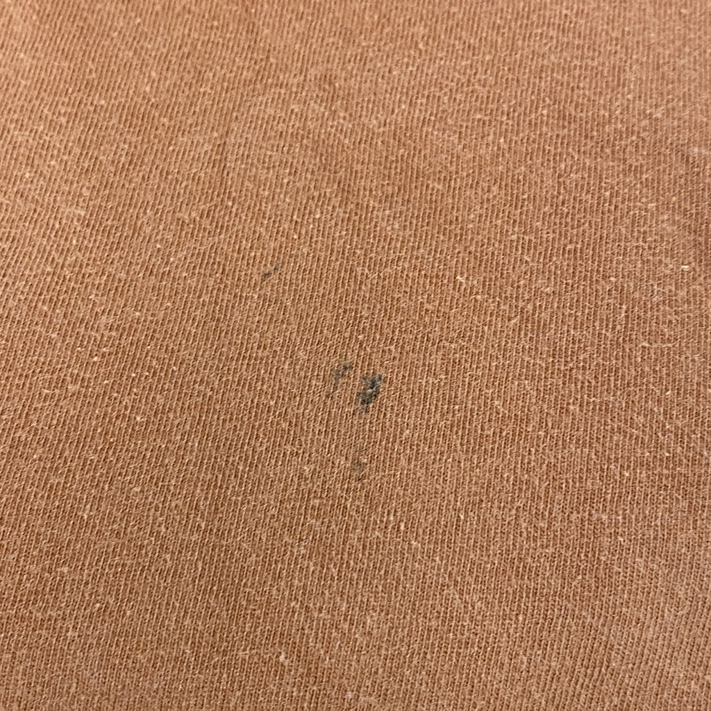 古着 used　NIKE　ナイキ　長袖カレッジプリントTシャツ　クルーネックロンT　テキサス大学　ライトブラウン　XLサイズ