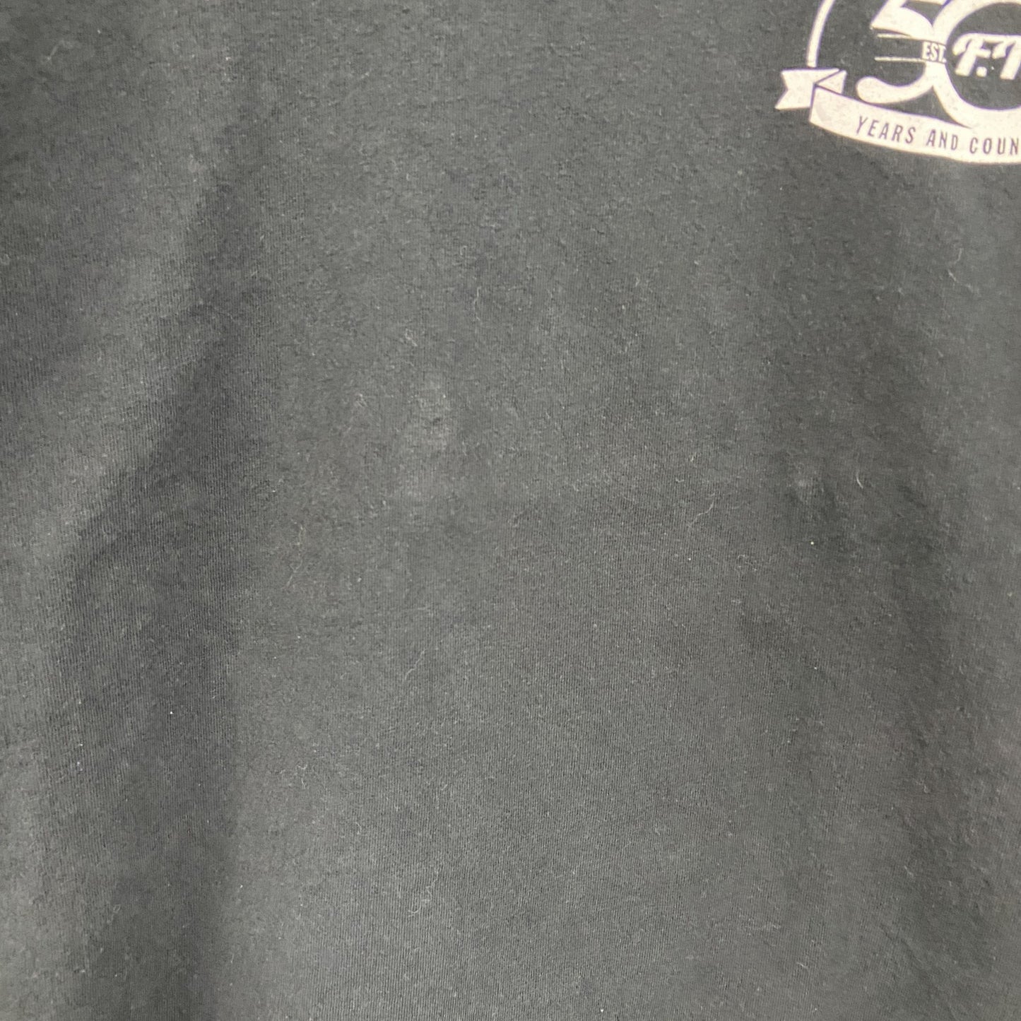 GILDAN　ギルダン　半袖プリントTシャツ　両面プリント　アーチプリント　黒　ブラック　Lサイズ