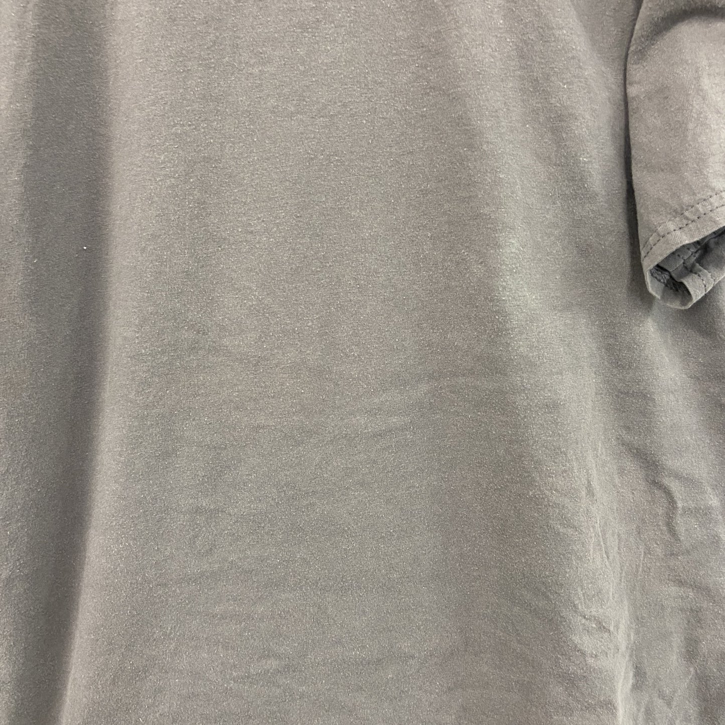 GILDAN　ギルダン　半袖プリントTシャツ　パロディT　灰色　グレー　Lサイズ