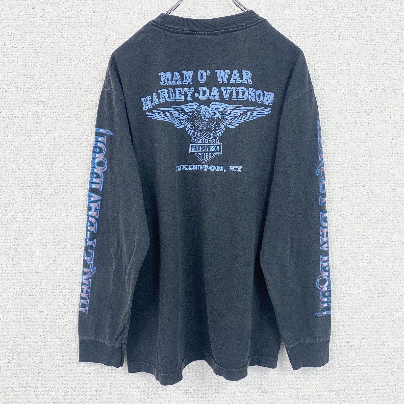 HARLEY DAVIDSON　ハーレーダビッドソン　長袖両面プリントTシャツ　袖プリント　黒　ブラック　Mサイズ
