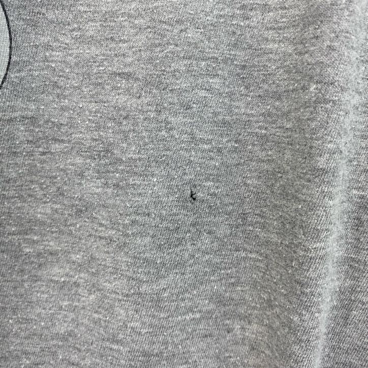 古着 used　NIKE　ナイキ　半袖プリントTシャツ　ピッツバーグ・スティーラーズ　クルーネック　グレー　Lサイズ