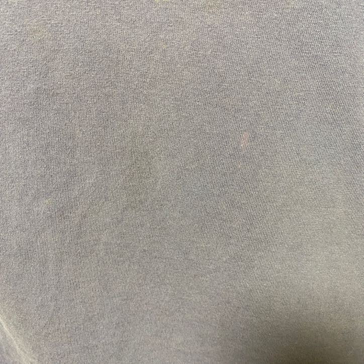 古着 used　90s　90年代　ヴィンテージ　フルーツオブザルーム　半袖プリントTシャツ　シングルステッチ　オーバーサイズ