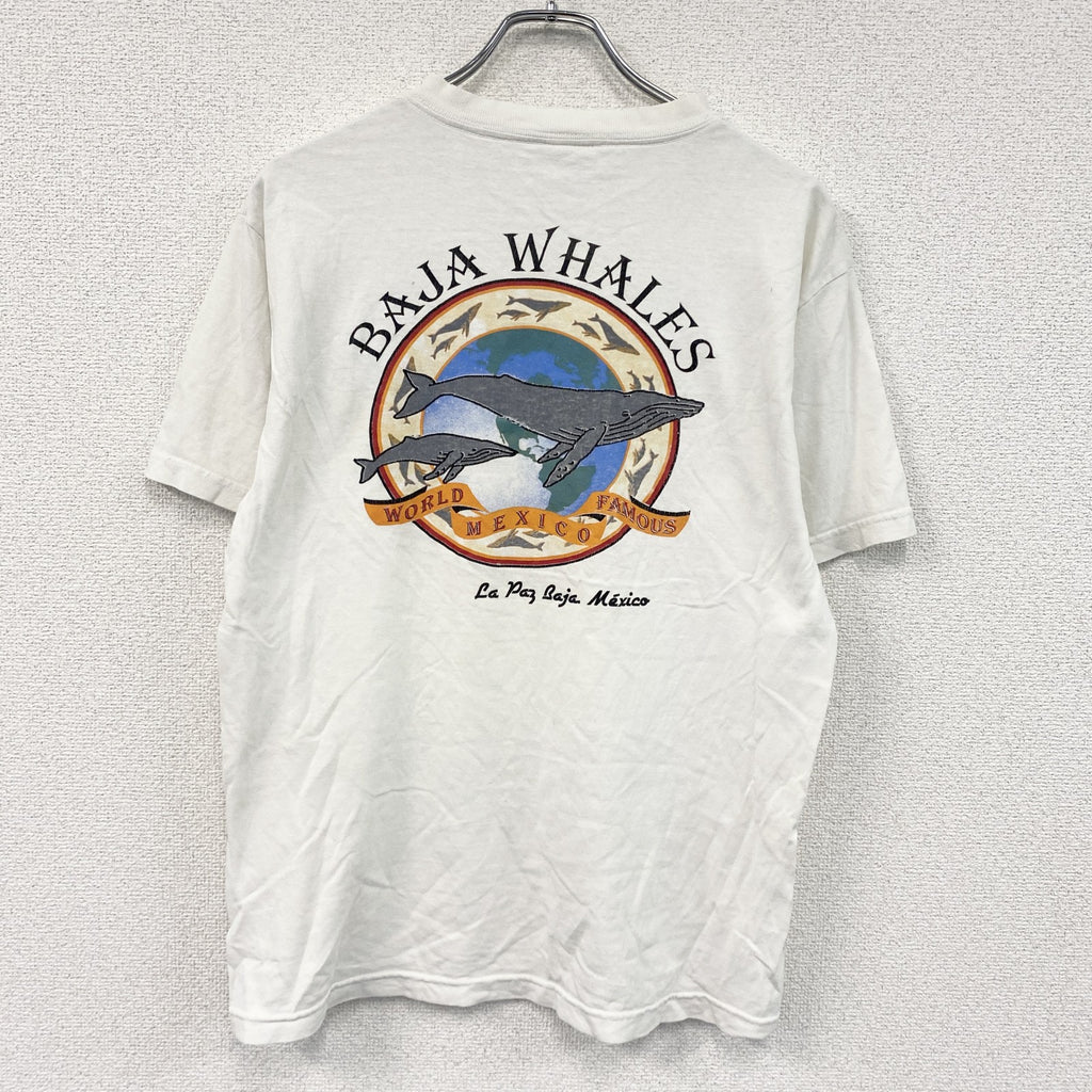 ALSTYLE APPAREL＆ACTIVEWEAR　半袖プリントTシャツ　白　ホワイト