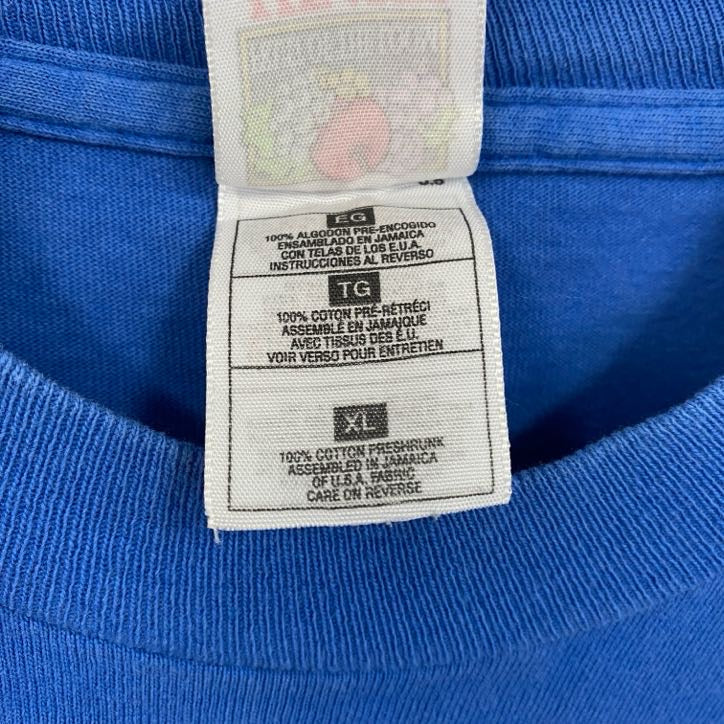 古着 used　90s　半袖プリントTシャツ　シングルステッチ　レトロデザイン　クルーネック　青　ブルー　XLサイズ