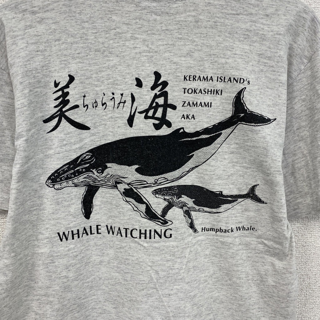 90s　anvil　美ら海　半袖プリントTシャツ　ヴィンテージ　シングルステッチ　グレー　Mサイズ