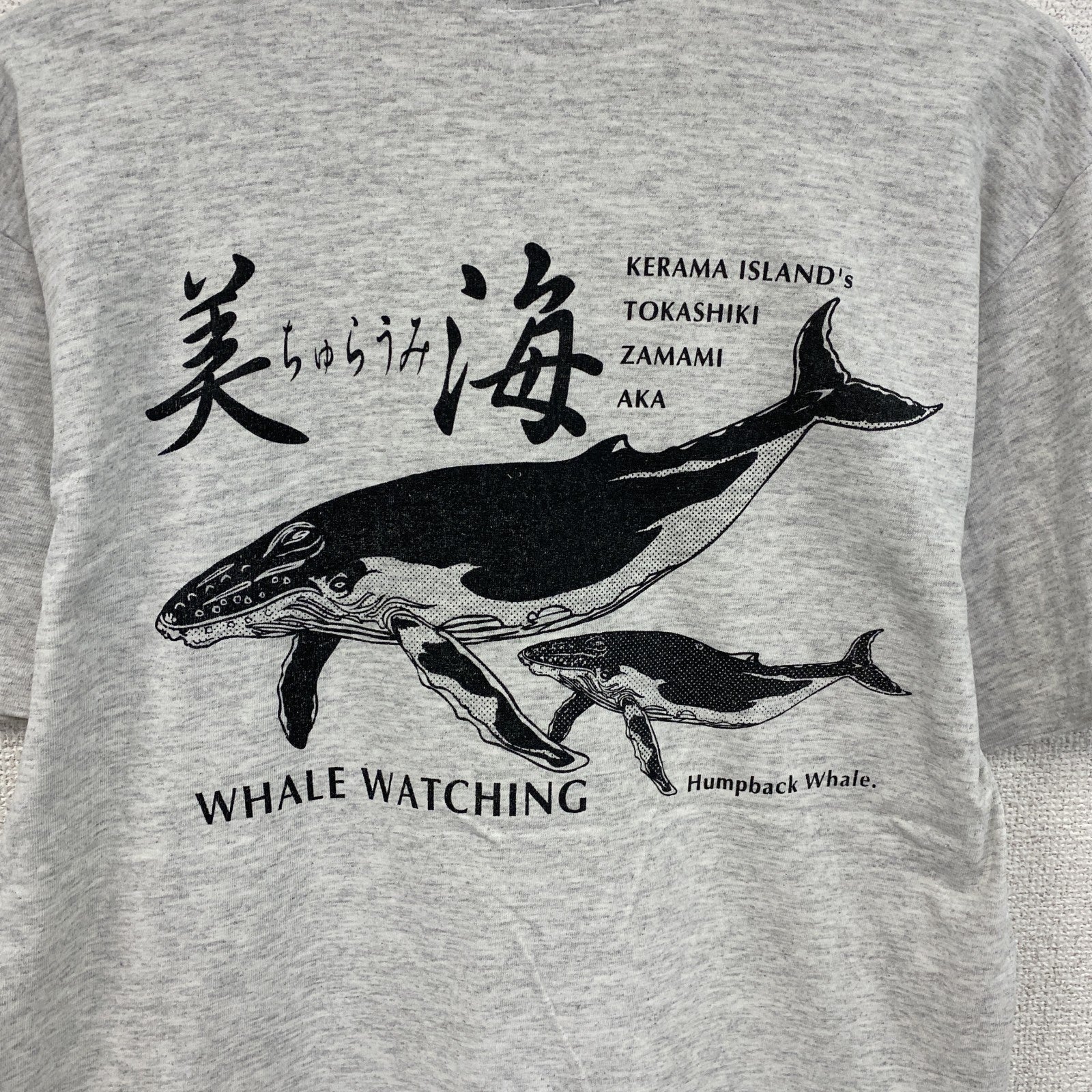 90s　anvil　美ら海　半袖プリントTシャツ　ヴィンテージ　シングルステッチ　グレー　Mサイズ