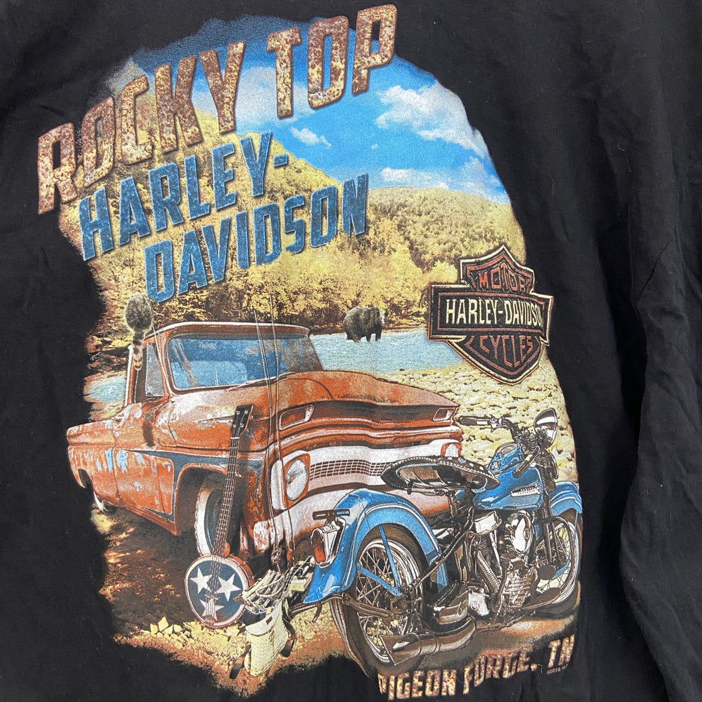 HARLEY DAVIDSON　ハーレーダビッドソン　長袖プリントTシャツ　黒　ブラック　Lサイズ