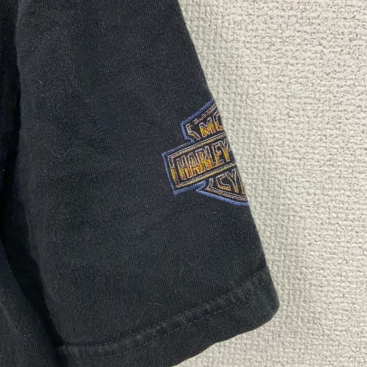HARLEY DAVIDSON　ハーレーダビッドソン　半袖プリントTシャツ　サザンサンダー　黒　ブラック　Mサイズ