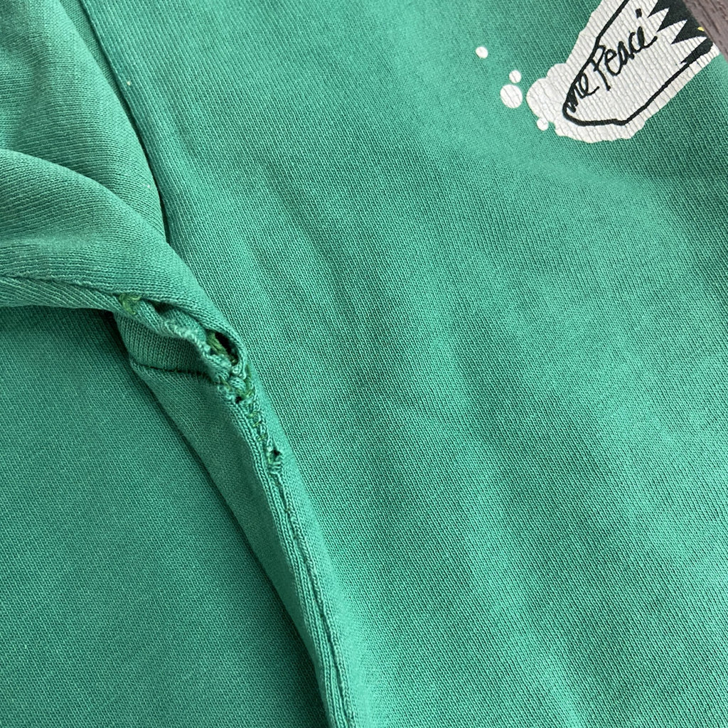 Stussy　ステューシー　長袖プリントTシャツ/ロンT　緑　グリーン　Mサイズ