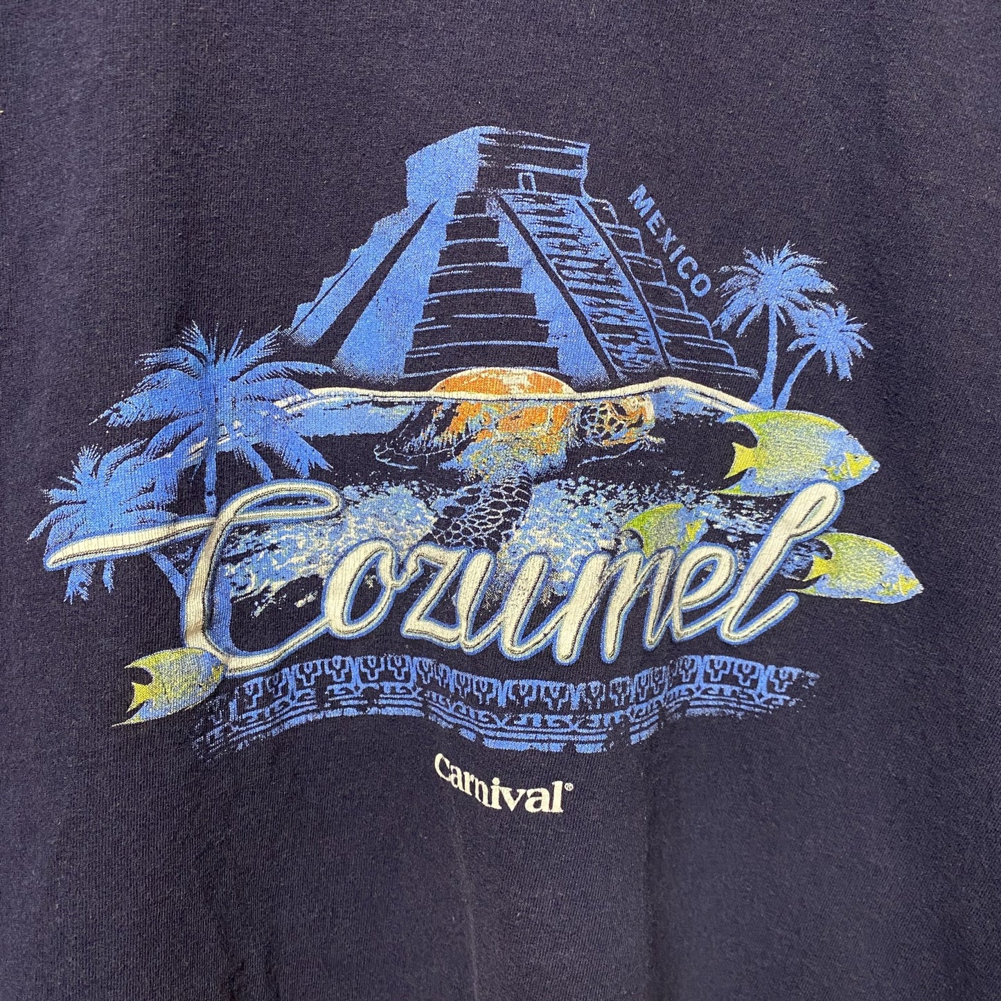 古着 used　COZUMEL　半袖プリントTシャツ　ネイビー　紺　レトロ　デザイン　個性的　クルーネック　春夏服　Lサイズ