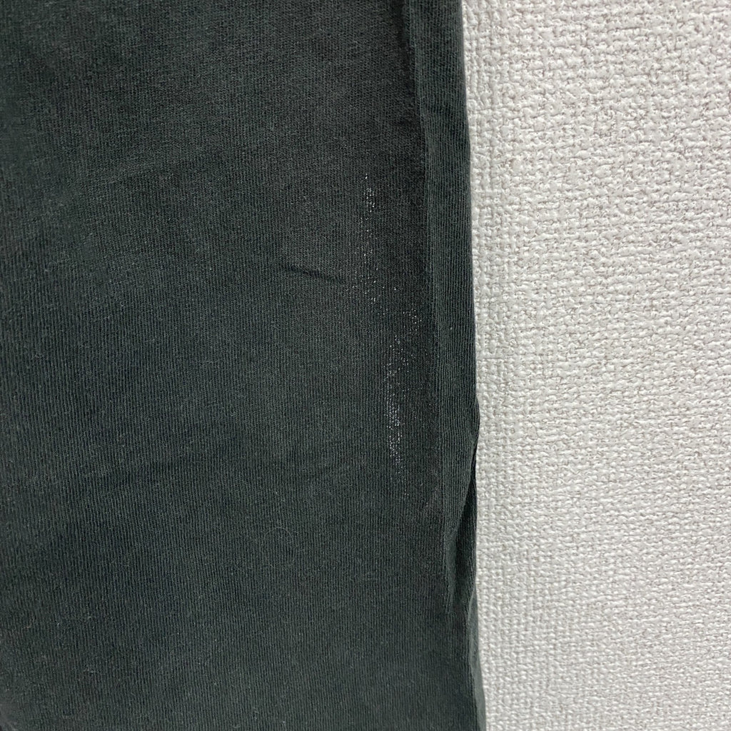 90s　FRUIT OF THE LOOM　フルーツオブザルーム　半袖プリントスーベニアTシャツ　アニマル　サメ　シングルステッチ　ヴィンテージ　黒　ブラック　Lサイズ