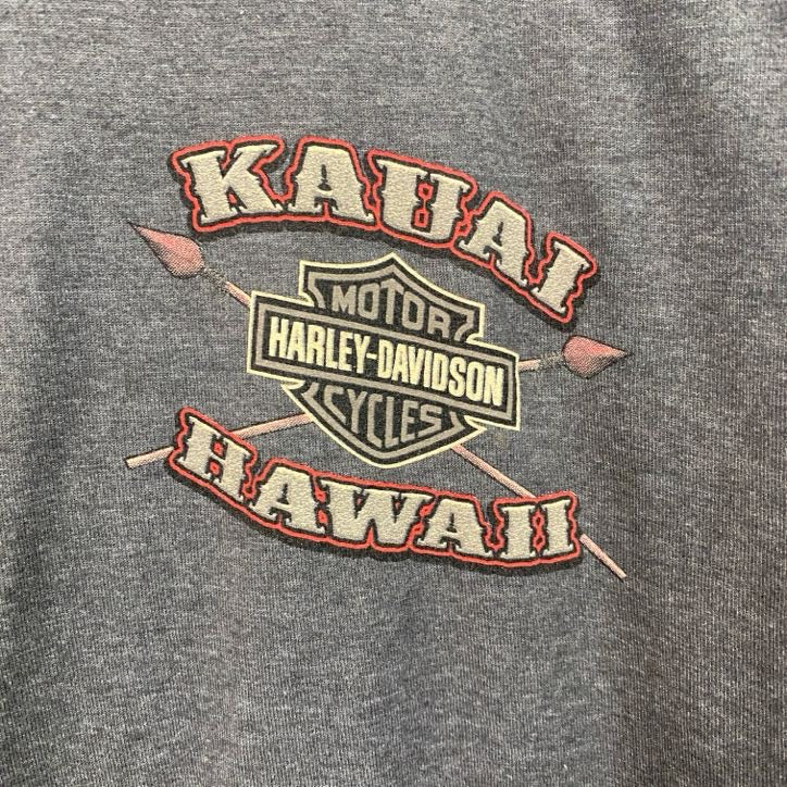 HARLEY DAVIDSON　ハーレーダビッドソン　半袖プリントTシャツ　灰色　グレー　Mサイズ
