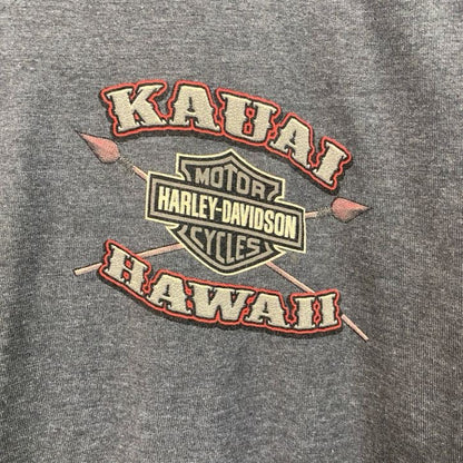 HARLEY DAVIDSON　ハーレーダビッドソン　半袖プリントTシャツ　灰色　グレー　Mサイズ