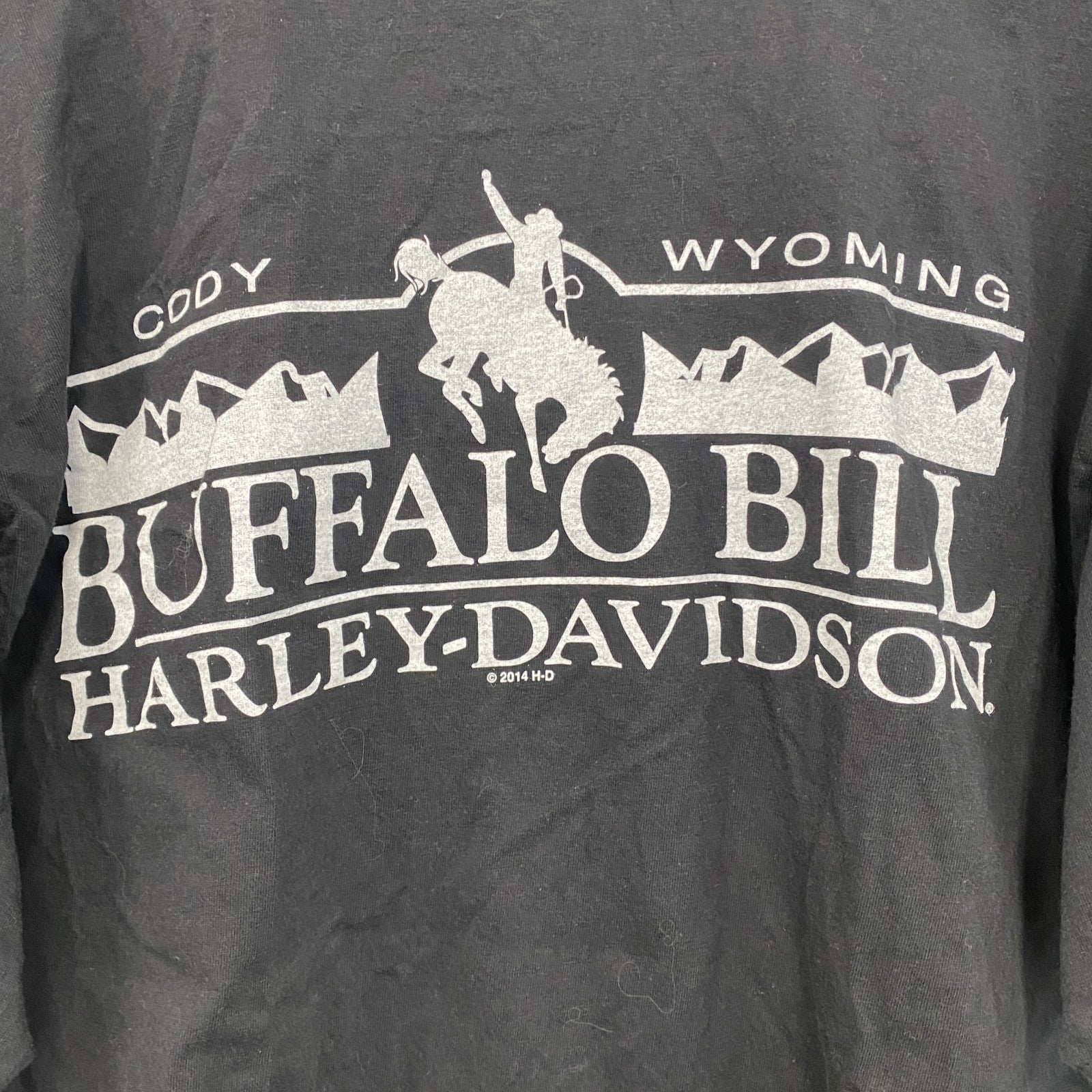 HARLEY DAVIDSON　ハーレーダビッドソン　半袖両面プリントTシャツ　黒　ブラック　Lサイズ
