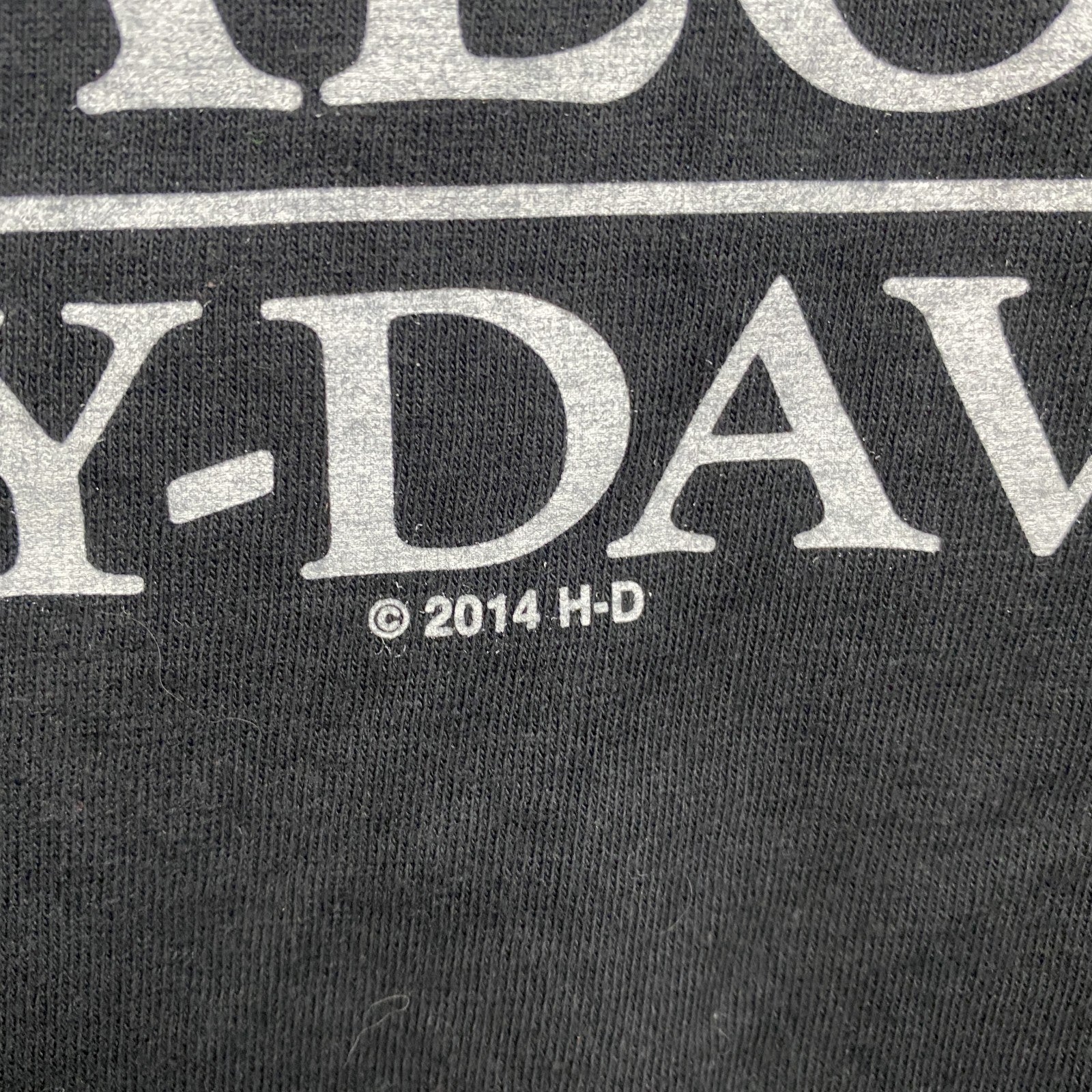 HARLEY DAVIDSON　ハーレーダビッドソン　半袖両面プリントTシャツ　黒　ブラック　Lサイズ
