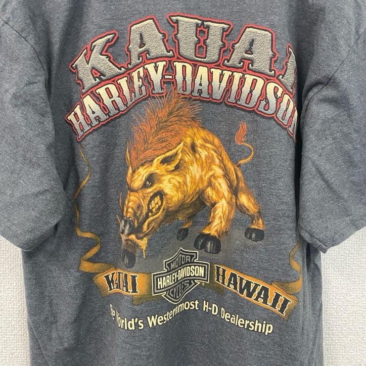 HARLEY DAVIDSON　ハーレーダビッドソン　半袖プリントTシャツ　灰色　グレー　Mサイズ