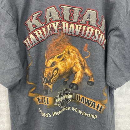 HARLEY DAVIDSON　ハーレーダビッドソン　半袖プリントTシャツ　灰色　グレー　Mサイズ
