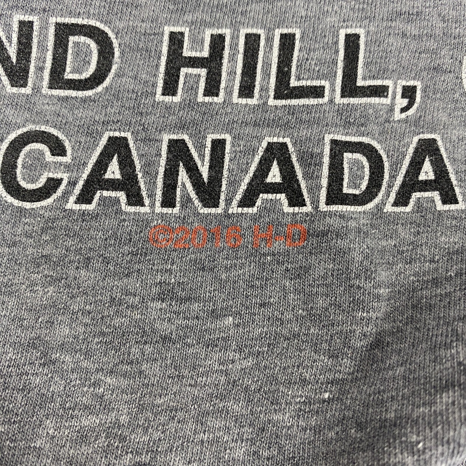 HARLEY DAVIDSON　ハーレーダビッドソン　半袖両面プリントTシャツ　グレー　Lサイズ