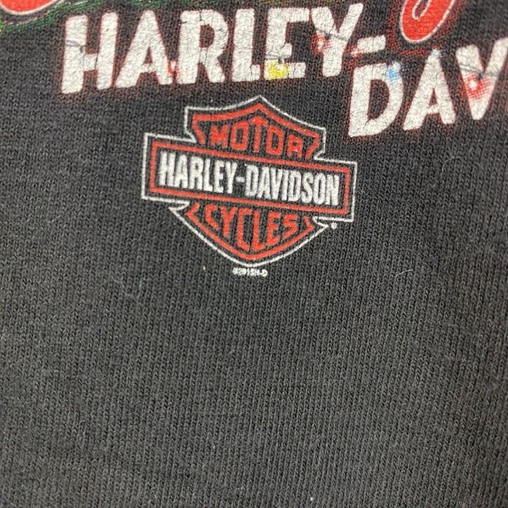 HARLEY DAVIDSON　ハーレーダビッドソン　半袖プリントTシャツ　黒　ブラック　Mサイズ