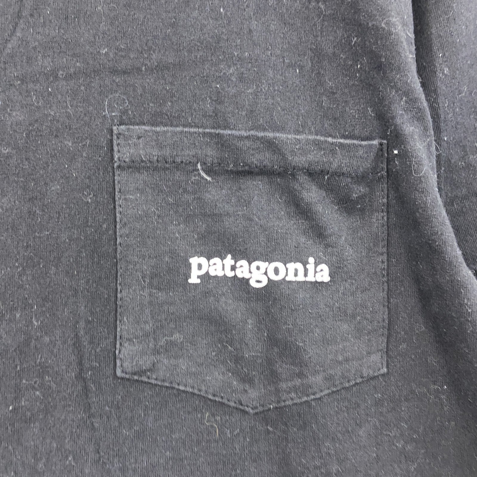 Patagonia　パタゴニア　半袖プリントTシャツ　黒　ブラック　Ｍサイズ