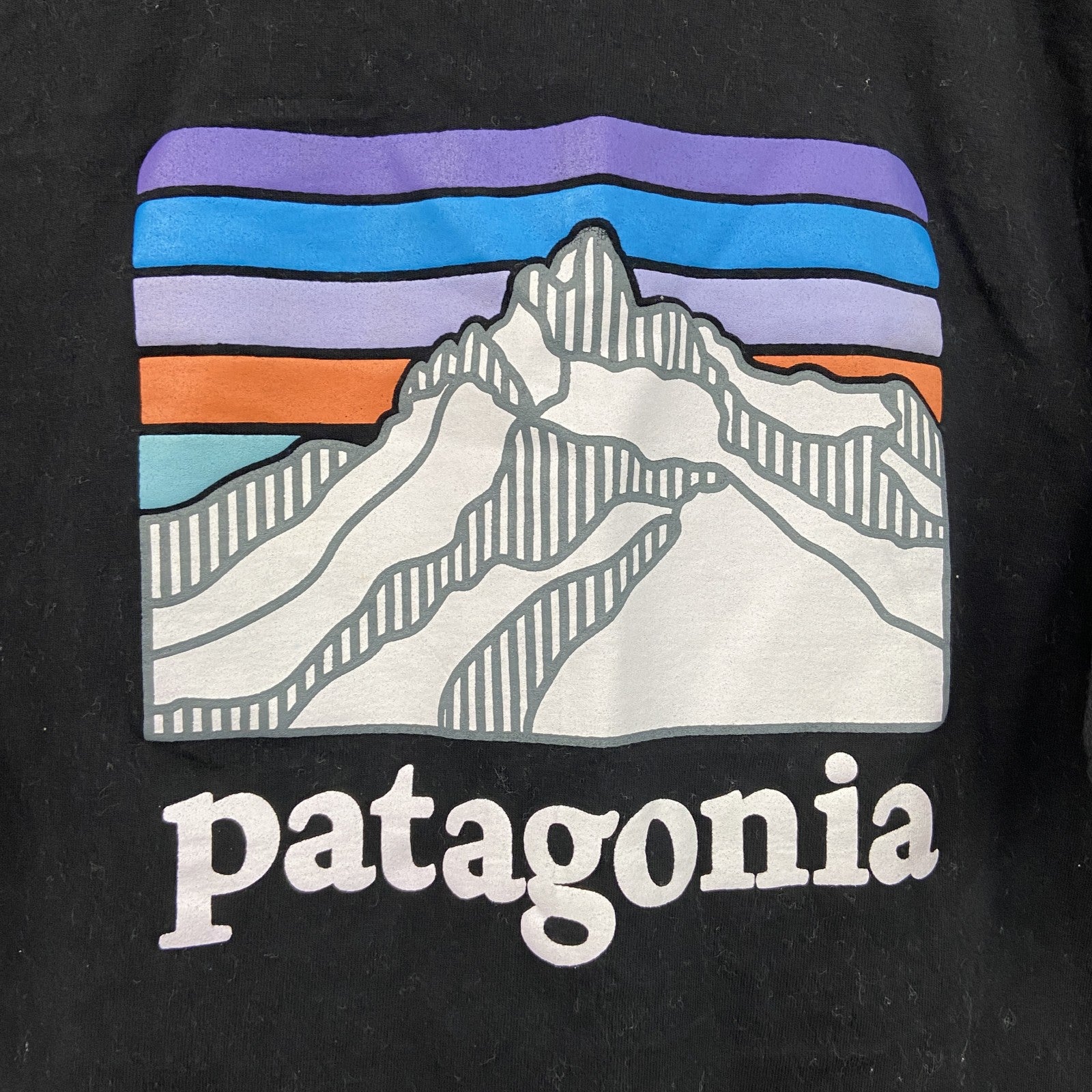 Patagonia　パタゴニア　半袖プリントTシャツ　黒　ブラック　Ｍサイズ
