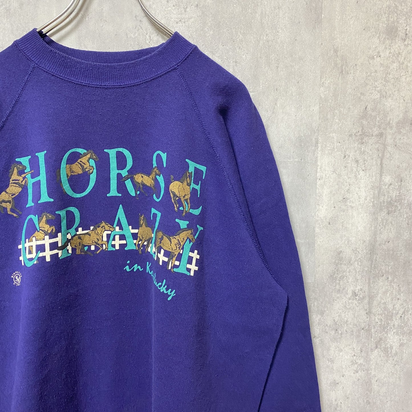 古着 used　Hanes　90s　90年代　長袖アニマル柄プリントスウェット　トレーナー　ラグランスリーブ　紫　オーバーサイズ