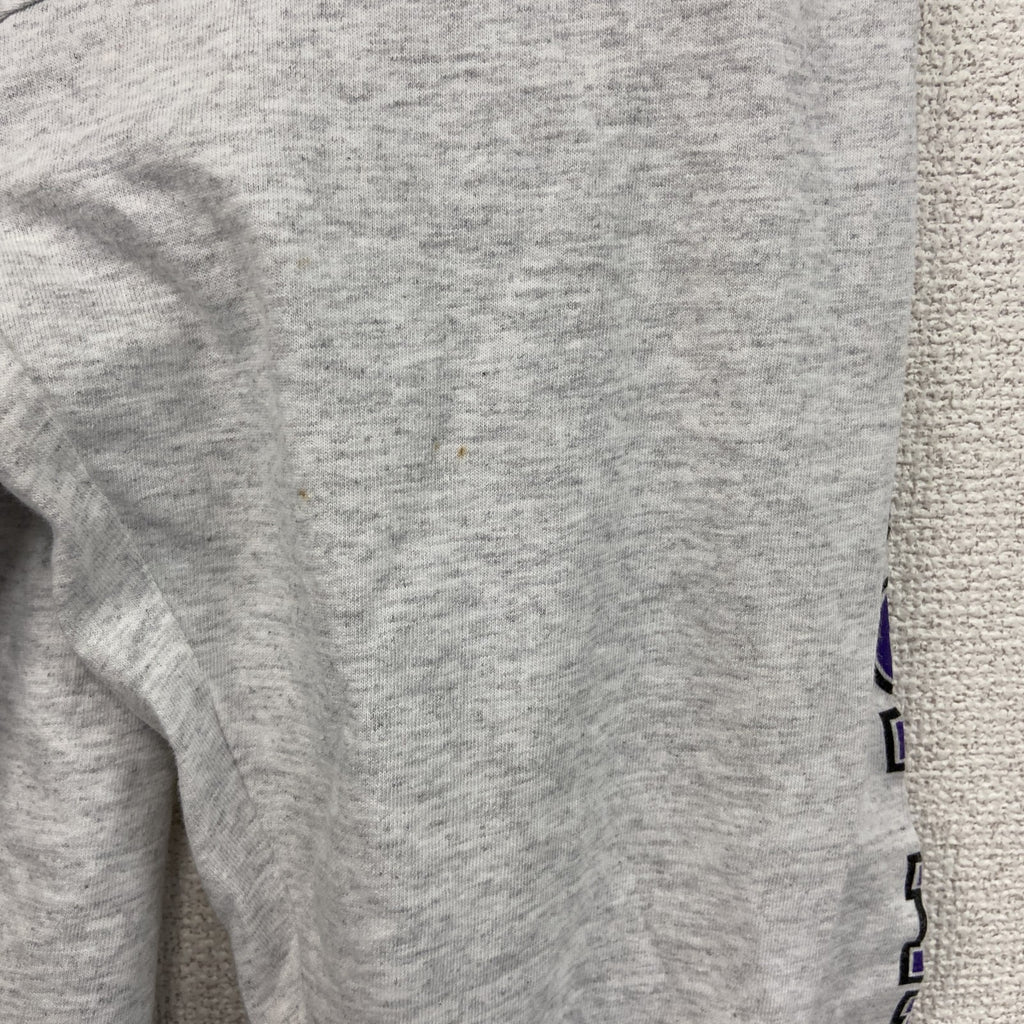 ～00s　RUSSELL　ラッセル　NFL　PANTHERS　パンサーズ　長袖Tシャツ/ロンT　ヴィンテージ　灰色　グレー　XLサイズ